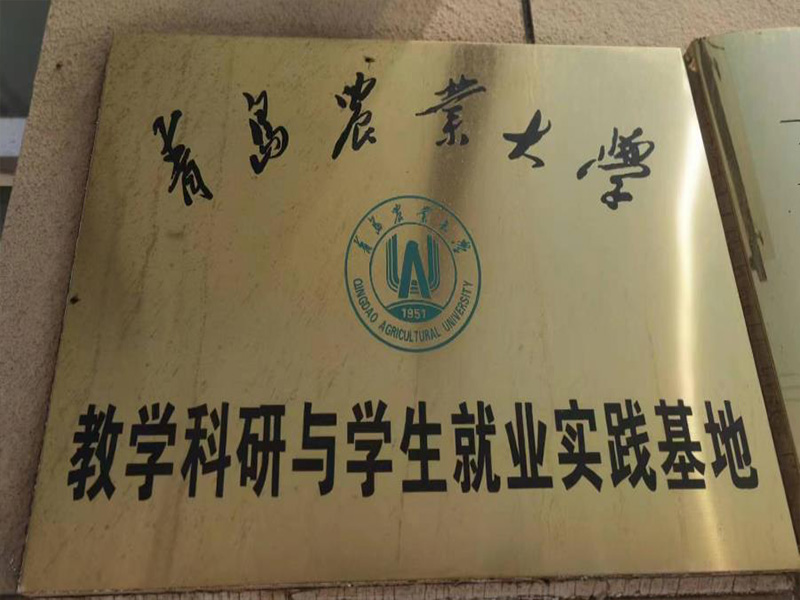 教学科研与学生就业实践基地