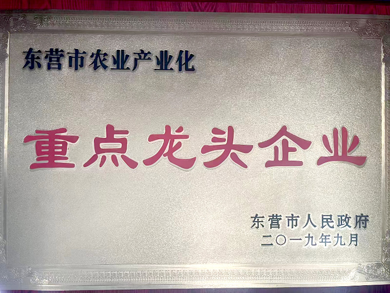 重点龙头企业